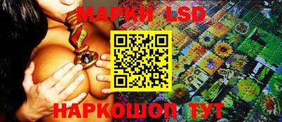 ECSTASY Новозыбков