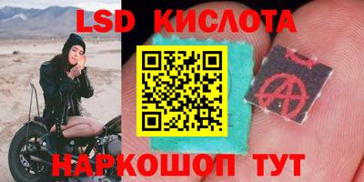 ECSTASY Новозыбков