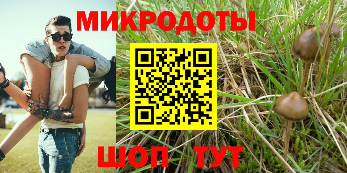 Галлюциногенные грибы Cubensis Сокол