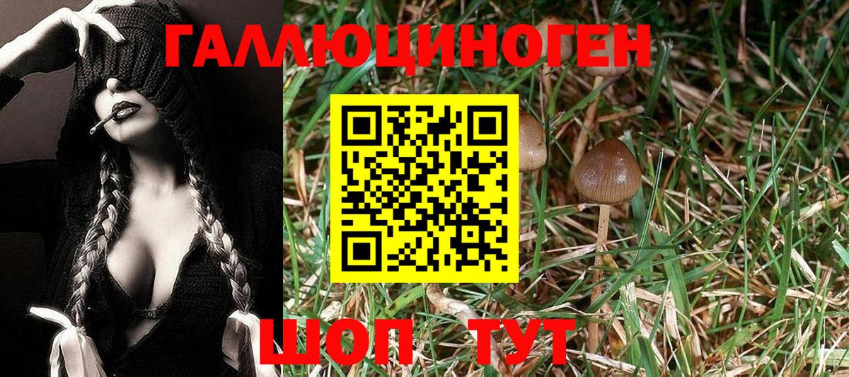 Сокол  Галлюциногенные грибы Magic Shrooms  Вход с VPN 