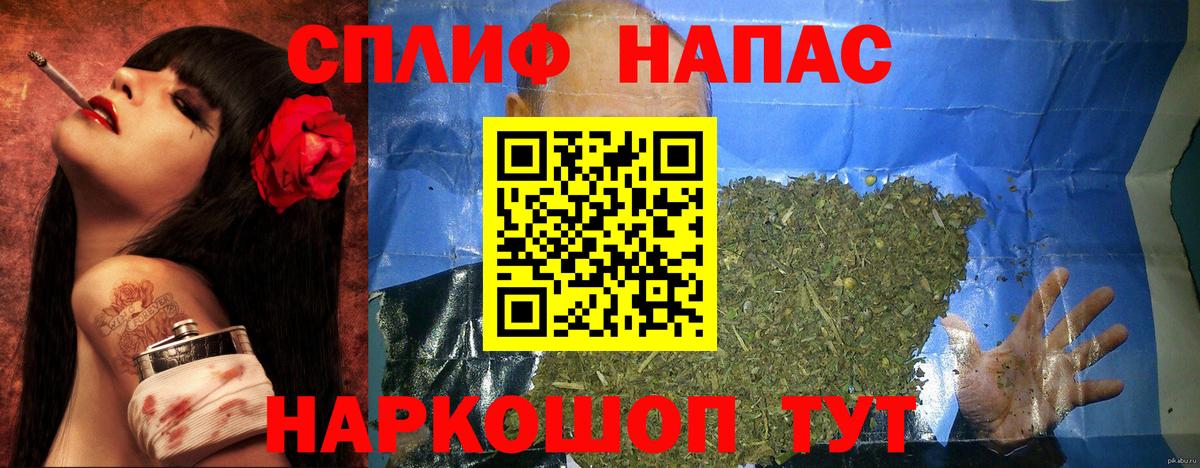 Каннабис планчик Сокол